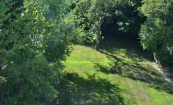 aerial view of a lush green field surrounded by trees , with a dirt road running through it at Leafy Suburban Bed and Breakfast