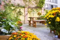Old Town Hotel Hotels in Prenzlauer Berg
