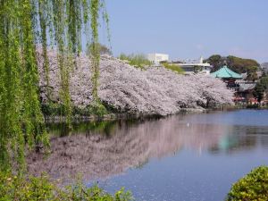 Sotetsu Fresa Inn Ueno-Okachimachi