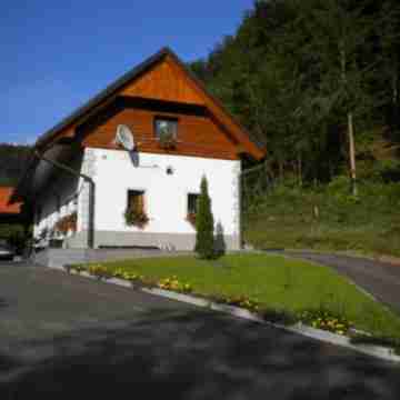 Domačija Vodnik & Apartments Hotel Exterior