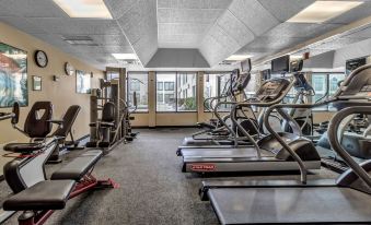 a well - equipped gym with various exercise equipment , including treadmills and weight machines , under a high ceiling at Buffalo Airport Hotel