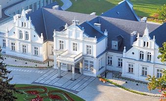 Hotel Pałac Romantyczny - Housity