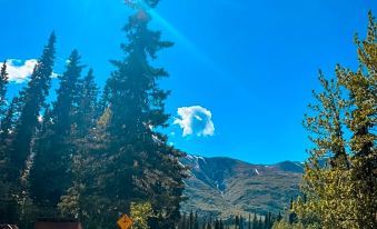 Carlo Creek Cabins