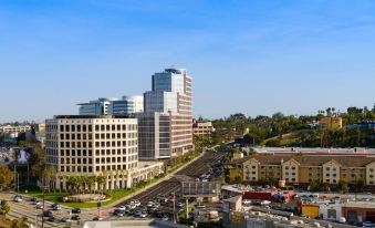 a city street with tall buildings in the background and a clear blue sky overhead at Hilton Los Angeles-Culver City, CA