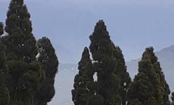 Goroomgo Lava View Lava Kalimpong