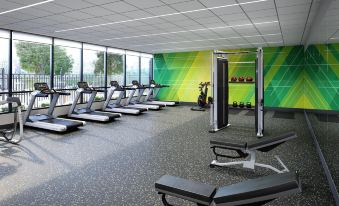 a gym with treadmills , weights , and stationary bikes arranged in a row with large windows at Holiday Inn & Suites Hopkinsville - Convention Ctr