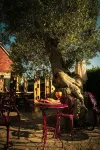 Bishops Cottage Hotels near Durdle Door Holiday Park