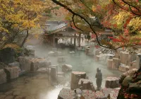 寶川温泉汪泉閣 - 溫泉