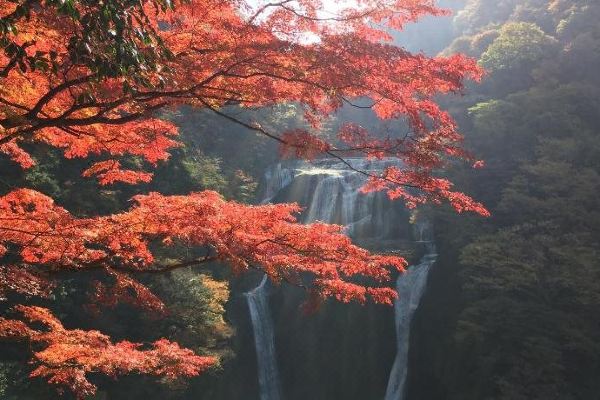 스즈키야 료칸 다이고(Suzukiya Ryokan)_3