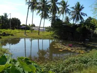 Bumnsaya Place Hotels in Nang Rong District