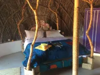 Swazi Dreams. (Nqabaneni Eco-Volunteering.) Hotels in 