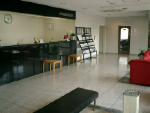 Ota Daiichi Hotel Hotels in Ota