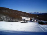 Vacation Inn Hotels in Nagawa