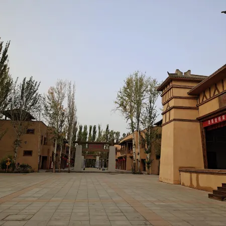 Jinta Huyang Nongju Yihao