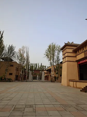 Jinta Huyang Nongju Yihao