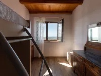 Enea
