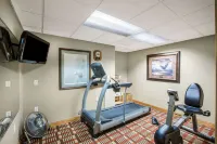 AmericInn by Wyndham Pequot Lakes/Jenkins - Gym