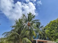Dhoadhi Retreat Thulusdhoo Hotels in Thulusdhoo