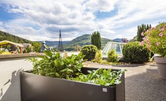 Schwarzwald Panorama