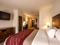 Comfort Inn & Suites Hotels in Rogersville