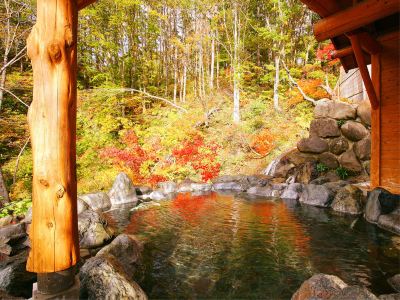 スパ・大浴場 奥利根温泉 ホテルサンバードの写真