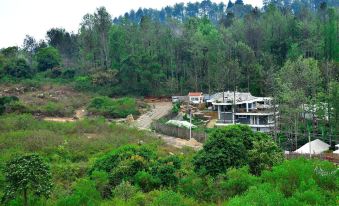 Wow Bison Woods Resort Yercaud