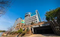 Hotel Wiz Hoteles en Paju