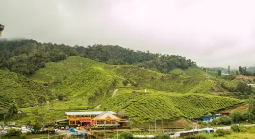 Romantic Sunset View 1 Min Walk to Tea Plantation Hotels in Ulu Telom