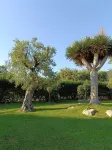 Masseria Galleppa - Rooms, Pool and Relax Отели в г. Бари