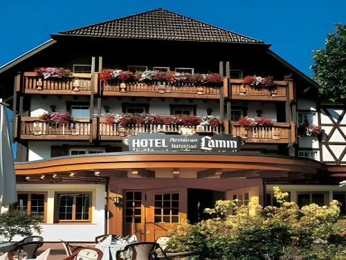 Hotel Lamm Mitteltal Hotels in Kniebis