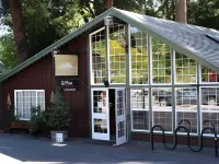 Shasta Inn