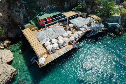 Lucky Monkey Hotel - acceptant les animaux