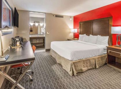 索內斯塔精選拉皮德城