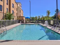 Hampton Inn Jackson Hotels in Jackson