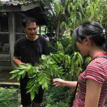 Bann Rai Klai Weang Homestay Hotel Exterior