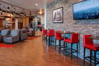 Four Points by Sheraton Detroit Novi - bar
