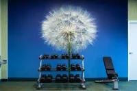 SpringHill Suites Kennewick Tri-Cities - Gym