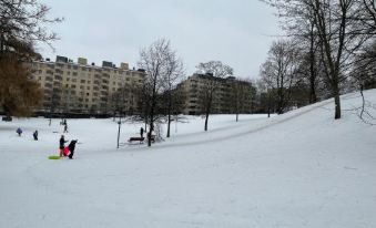 4. Sea, Sau..