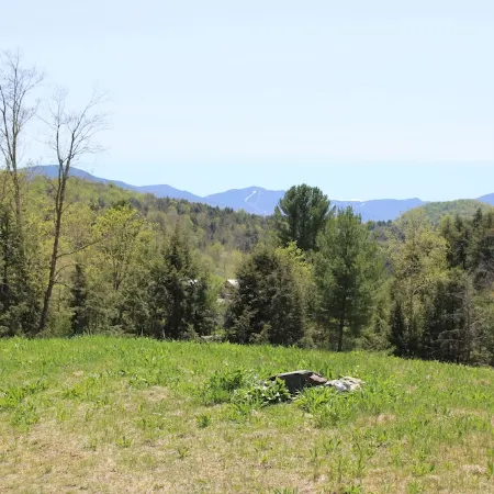 Black Creek's Maple Nature Escape