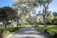 Off 17 Mile Drive Near the Lodge with Ocean Views: 30 Days for the Price of 7! Hotels in Pebble Beach