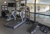 Hampton Inn & Suites Youngstown-Canfield - Træningscentre