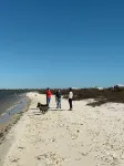 Private Beach &  Private Dock for Fishing!  Bring Dogs! August Discounts -15-20% - Beach