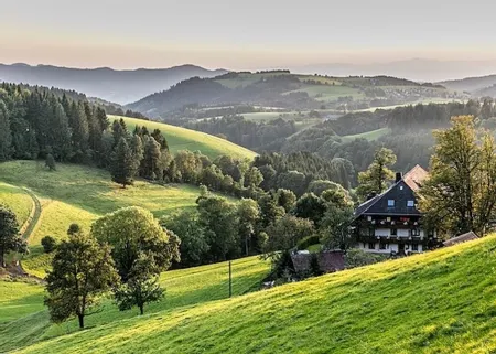 Waldloft Titisee + Hochschwarzwald Card Отели в г. Титизее-Нойштадт