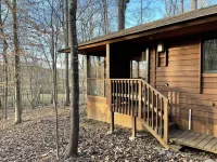 Cabin amongst the trees