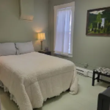 Warm northwoods beach-style apartment walking distance to OreBeGone & Mesabi Trl