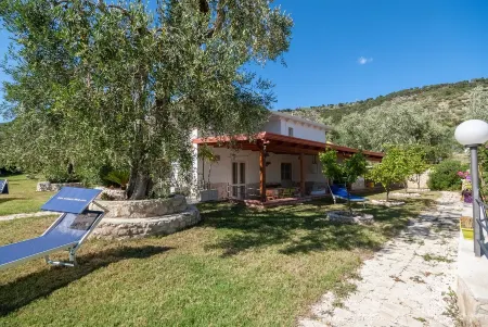 B & B Yellow wolfbane