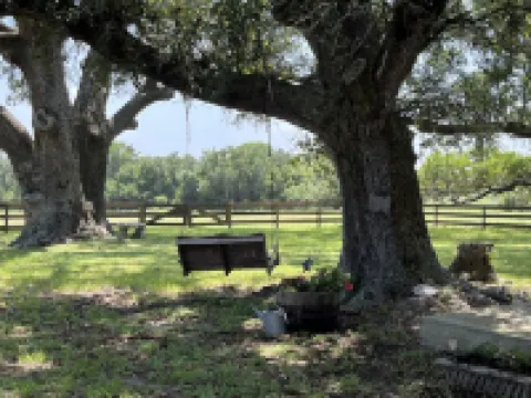 Amazing Secluded cottage under huge trees, on a working Ranch. 鄰近Tower 3的酒店