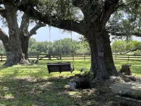 Amazing Secluded cottage under huge trees, on a working Ranch.