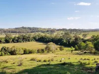 Dairy Song: for the Musicians, Artists, Travellers, Lovers of Birdlife, Yoga ... Hotels in Wingham