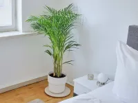 Apartment DOM III - Erfurt Cathedral Square